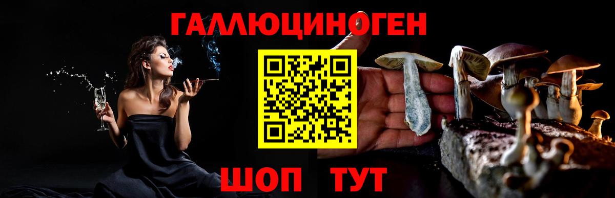 Прохладный  Псилоцибиновые грибы мухоморы  Вход с VPN 